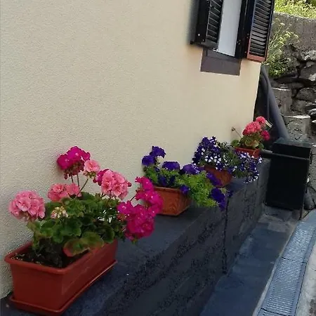Casa Do Sebastiao Ribeira Brava
